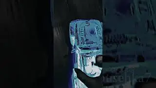 Хомяк дрифт #hamsters#funny#phonk#cool#bladeball@HolyBaam,этот хомяк хочет продать машину!!˚✧