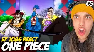 BUGGY VIROU IMPERADOR ASSIM? TA EXPLICADO KKKK - React One Piece EP 1086