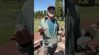 The World-Famous Petersen Rock Garden & Museum (and Peacock Sanctuary)