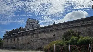 Nadhaswaram Thillai Sri Natarajar Temple Arudra Festival chidambaram 