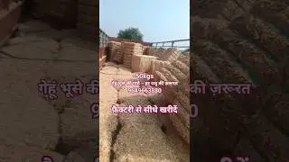 wheat straw bale 50kg #dairy #trending #agriculture #animal #farming #strawbale #animalfodder #chara
