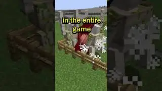 1 Warden VS 5 Iron Golems