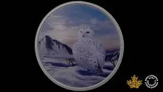 2 oz. Pure Silver Glow-in-the-Dark Coin - Arctic Animals: Snowy Owl