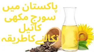 Sunflower seeds oil extraction in Pakistan