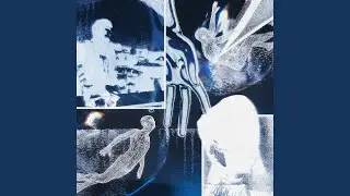 ECHO
