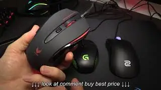 SS Rival 100 VS Logitech G303 VS Zowie EC2 A Comparison Review
