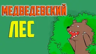 Медведевский лес зимой | Agent SE live