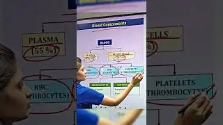 Blood Components Explained 🩸🔬