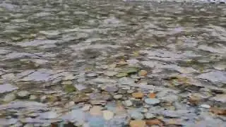 Peaceful Flowing River Sounds from Nature for Sleep & Relaxation | Natural Water Ambience