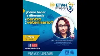 ¿Cómo hacer la diferencia en mi centro veterinario?