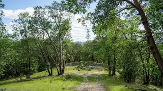 Grants Pass Property for Sale Lot5