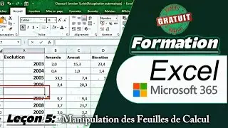 Excel 365 - Le&ccedil;on 5 : Manipulation des Feuilles de Calcul