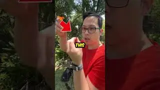 I Tested &ldquo;SpiderMan Web Shooter&rdquo;