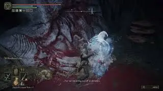 Attacking Rani the Witch at final step of her quest (after giving her Dark Moon Ring)