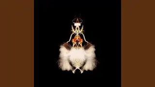 Horizophon