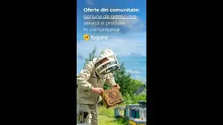 Oferte din Comunitate