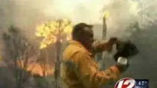 Florida under state of emergency