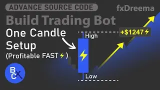 Build MT5 Trading Bots - The 