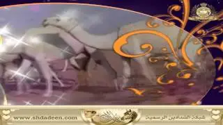 شيلة في منقية الشيخ: سليمان بن عساف الذيابي الروقي   كلمات: عبدالرحمن غزاي   أداء: صالح اليامي