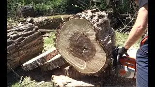 Stihl MS 260 vs Husqvarna 55 - lišta 50cm 3/8 vs 45cm 325 - Chainsaw test, bar length 50cm and 45cm