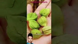 Ayurvedic dawai ki jadi buti ka bahut Kamal chij hai 😱🫵🔥