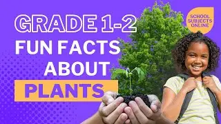 Fun Plant Facts for First Graders