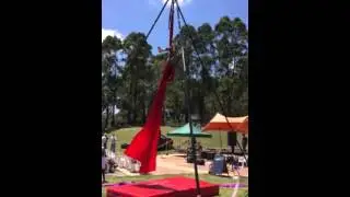 Shelby Chelodina Festival