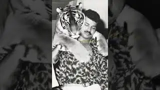 tiger prabhakar