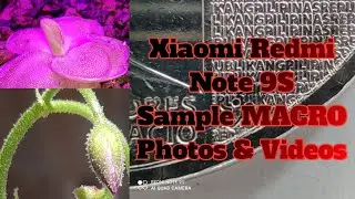 Xiaomi Redmi Note 9s Macro shots Sample | Photos and Videos