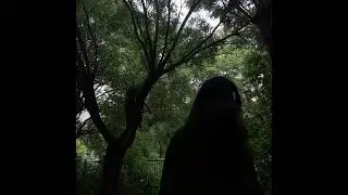 PINK LICHEN & ATL  [120bpm Cmin]