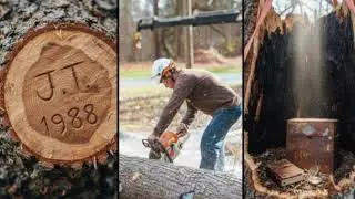 Tree Removal Near Me in Atlanta | Watch This-True Crime