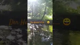 Der Herbst ist da.... #Herbst #Fluss #Impressionen#Wellbeeing