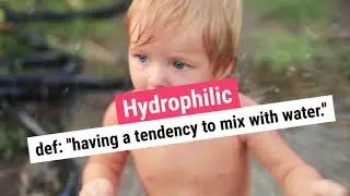 Hydrophilic vs Hydrophobic