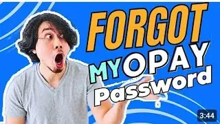 How to Reset your Password on Opay App (Opay Forgot Password Reset Guide)