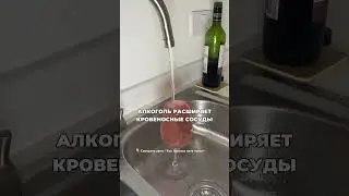 Что происходит сразу когда выпил алкоголь #лечениеалкоголизма