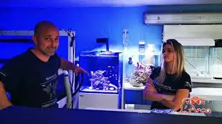 Scopriamo l'acquario marino