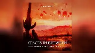 Liam Carney - Spaces In Between