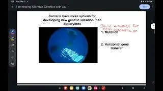 Microbial Genetics Part 1