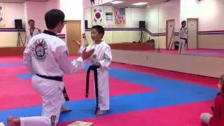 Breaking Wooden Boards