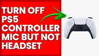 How To Turn Off PS5 Controller Mic But Not Headset (Mute/Disable PS5 Controller Mic But Not Headset)
