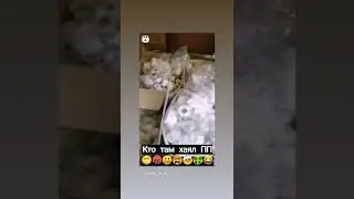 #полипропилен Сила...
