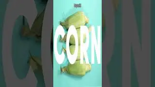 Обзор спортивных брюк Terra: экологичность, комфорт в течение ночи для чувствительной кожи.