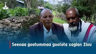 Seenaa gootummaa gootota saglan Iluu etv |Ebc  |Etv Afaan Oromoo| oduu Etv Afaan Oromoo |Ethiopia