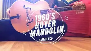 Hoyer Mandolin For Sale