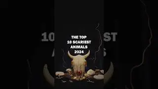 CAN YOU BEAT ANY? #top10 #toptenlist #top10list #topten #animals #scary #fight