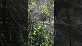 Rain is coming out of nowhere (extended)