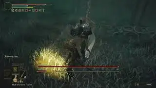 Elden Ring Nox Flowing Sword location
