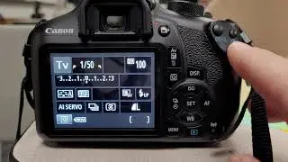 Use the Center Focus Point for Better Panning Photos