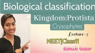 Biological classification: Kingdom Protista|Crysophytes|Diatoms|Desmids|NEET|Class11| Suman Yadav