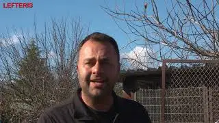 &Gamma;&Iota;&Alpha;&Nu;&Nu;&Eta;&Sigma; &Alpha;&Mu;&Alpha;&Nu;&Alpha;&Tau;&Iota;&Delta;&Eta;&Sigma; DREAM TEAM &Beta;&Omicron;&Upsilon;&Tau;&Alpha;&Sigma; 31/1/2026